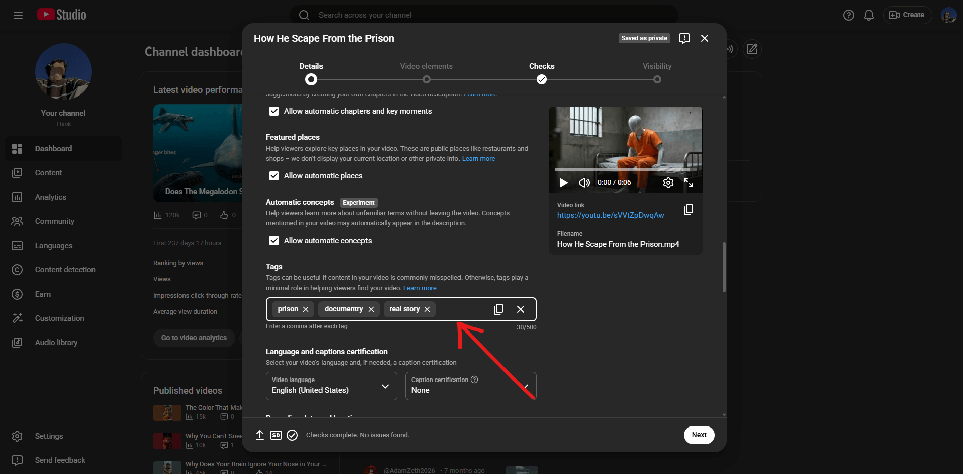 youtube studio video upload page showing the tags input field